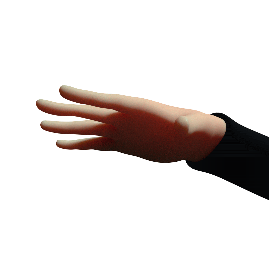 3D model of hand