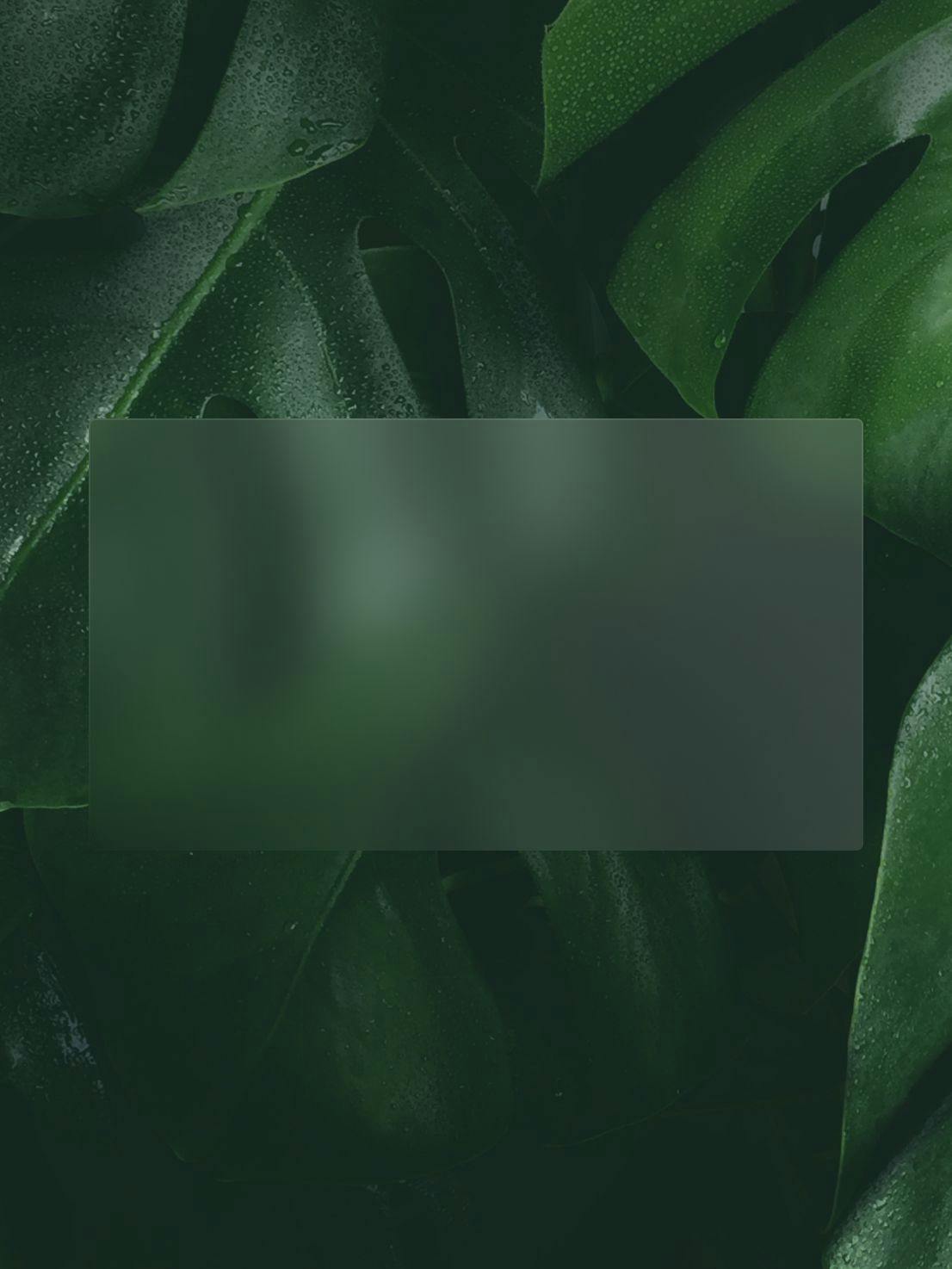 Green leaves background with see through glass rectangle